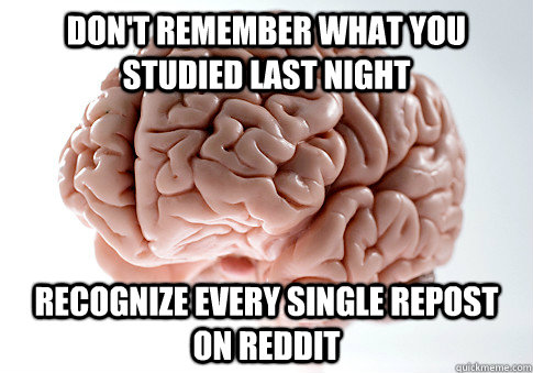 don't remember what you studied last night recognize every single repost on reddit  Scumbag Brain