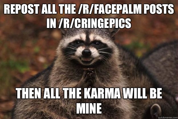 Repost all the /r/facepalm posts in /r/cringepics Then all the karma will be mine - Repost all the /r/facepalm posts in /r/cringepics Then all the karma will be mine  Evil Plotting Raccoon