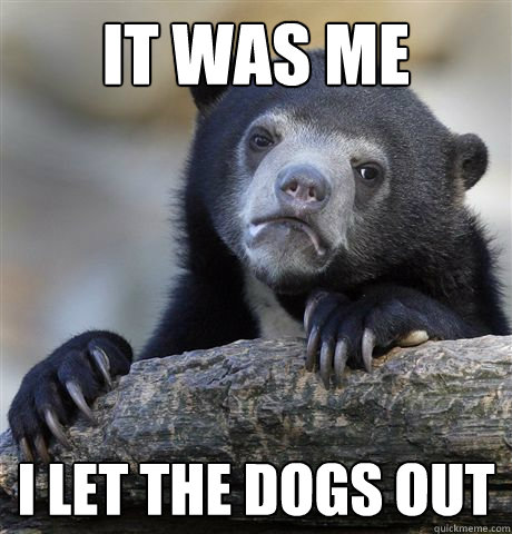 it was me i let the dogs out  Confession Bear