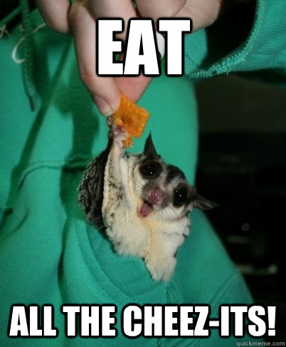 EAT ALL the Cheez-Its!  All the things sugar glider