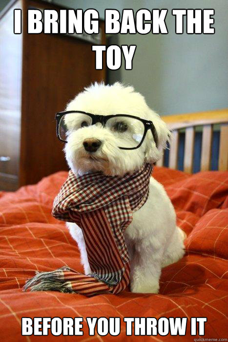 I bring back the toy before you throw it  Hipster Dog