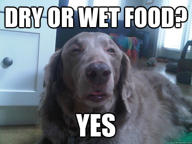 Dry or wet food? yes  10 Dog