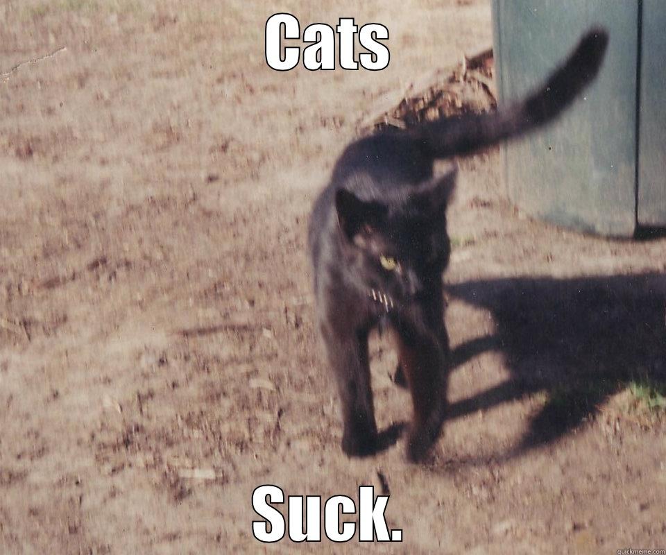 Cats Suck - CATS SUCK. Misc