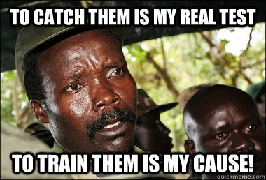 TO CATCH THEM IS MY REAL TEST TO TRAIN THEM IS MY CAUSE!  Kony