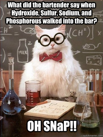 What did the bartender say when Hydroxide, Sulfur, Sodium, and Phosphorous walked into the bar? OH SNaP!!  Chemistry Cat