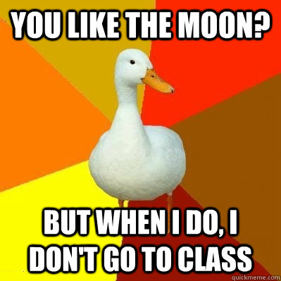 you like the moon? but when i do, i don't go to class  Tech Impaired Duck