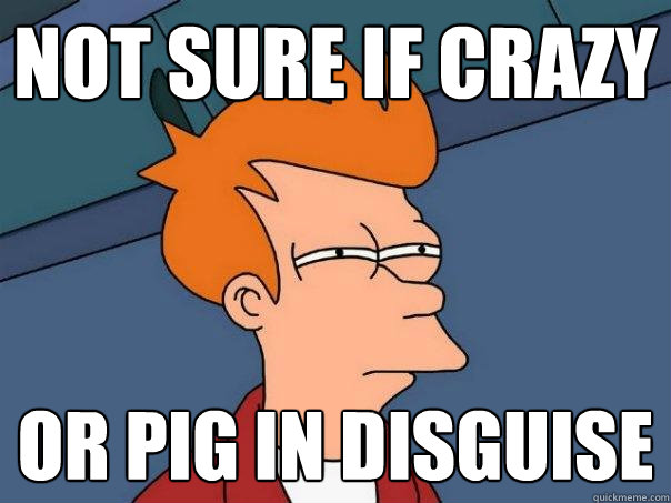 not sure if crazy or pig in disguise   Futurama Fry