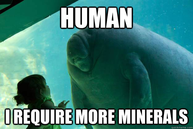 hUMAN I require more minerals  Overlord Manatee