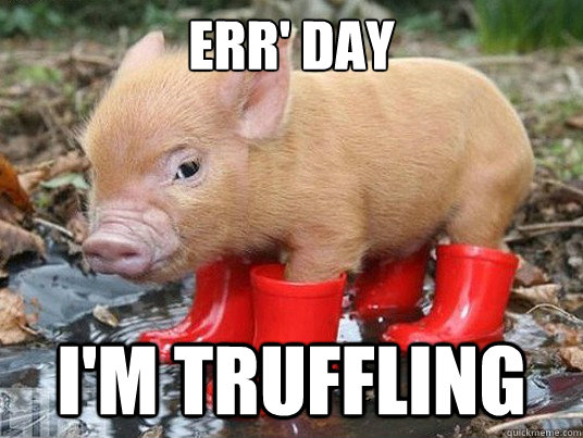 Err' day i'm truffling  