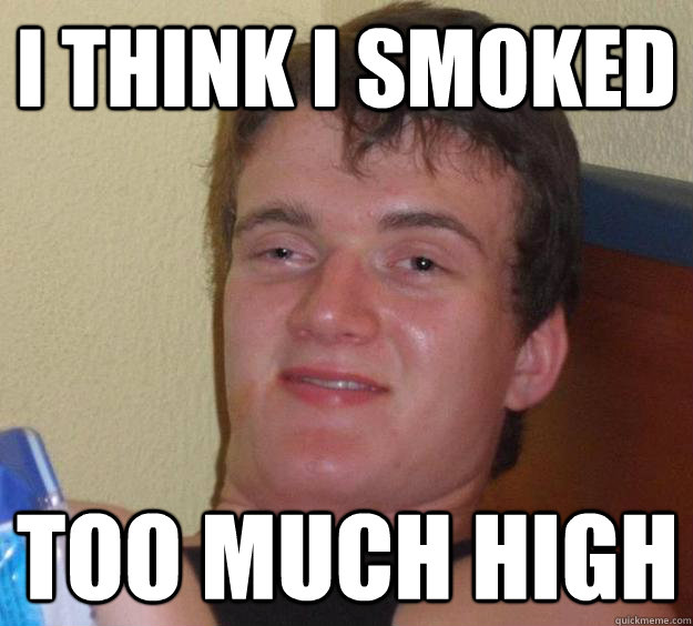 i think i smoked too much high - i think i smoked too much high  10 Guy