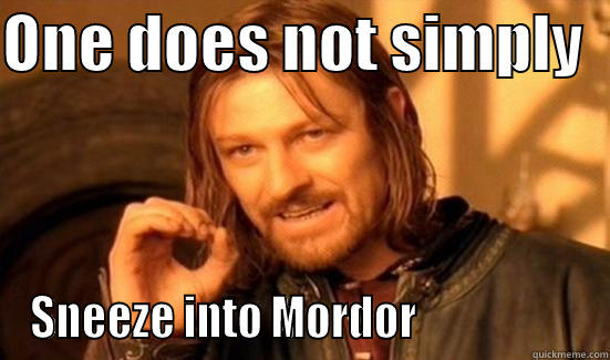 ONE DOES NOT SIMPLY   SNEEZE INTO MORDOR                    Boromir