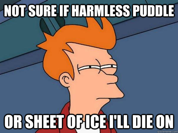 Not sure if harmless puddle Or sheet of ice i'll die on  Futurama Fry