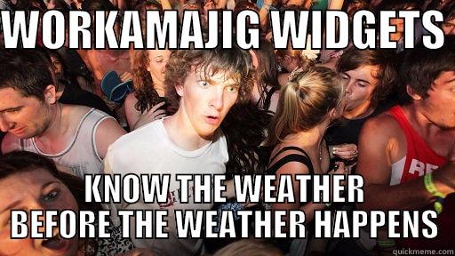 WORKAMAJIG WIDGETS  KNOW THE WEATHER BEFORE THE WEATHER HAPPENS Sudden Clarity Clarence