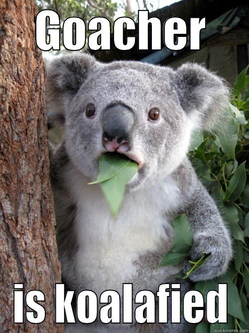 GOACHER IS KOALAFIED koala bear