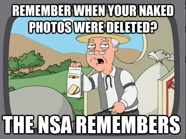 remember when your naked photos were deleted? The NSA remembers  Pepperidge Farm Remembers