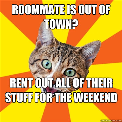 roommate is out of town? rent out all of their stuff for the weekend  Bad Advice Cat