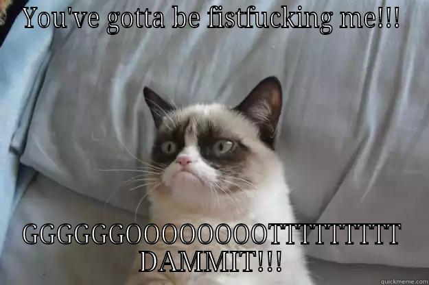 fuck off - YOU'VE GOTTA BE FISTFUCKING ME!!! GGGGGGOOOOOOOOTTTTTTTTT DAMMIT!!! Grumpy Cat