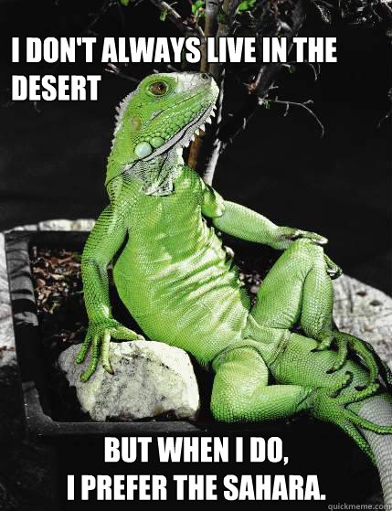 I don't always live in the desert but when I do, 
I prefer the Sahara. - I don't always live in the desert but when I do, 
I prefer the Sahara.  The most interesting lizard in the world