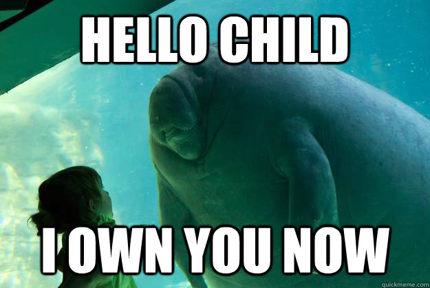 Hello child I own you now  Overlord Manatee