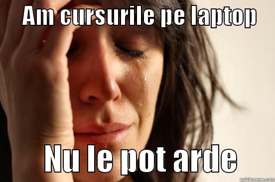      AM CURSURILE PE LAPTOP             NU LE POT ARDE      First World Problems