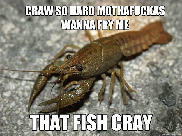 Craw so hard mothafuckas wanna fry me that fish cray  that fish cray