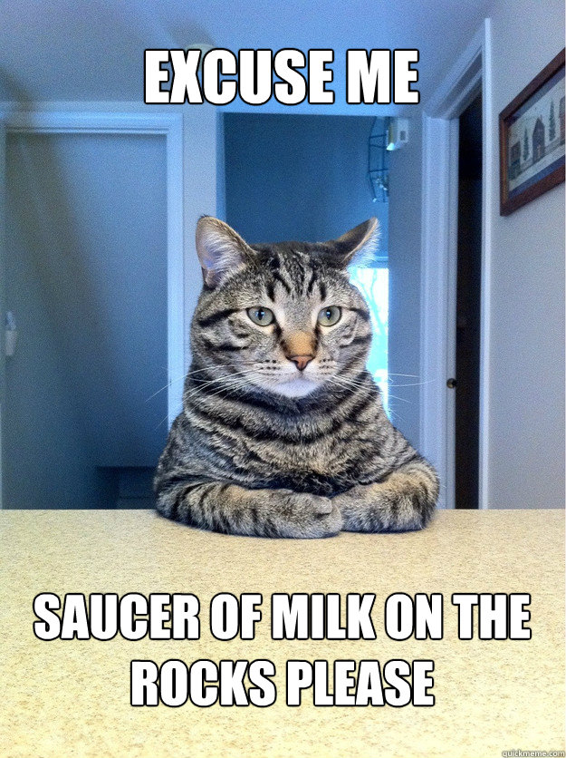 excuse me saucer of milk on the rocks please  Chris Hansen Cat