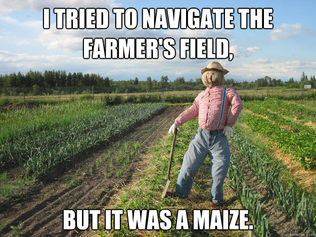 I tried to navigate the farmer's field, but it was a maize.  Scarecrow