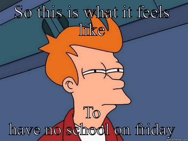 SO THIS IS WHAT IT FEELS LIKE TO HAVE NO SCHOOL ON FRIDAY Futurama Fry