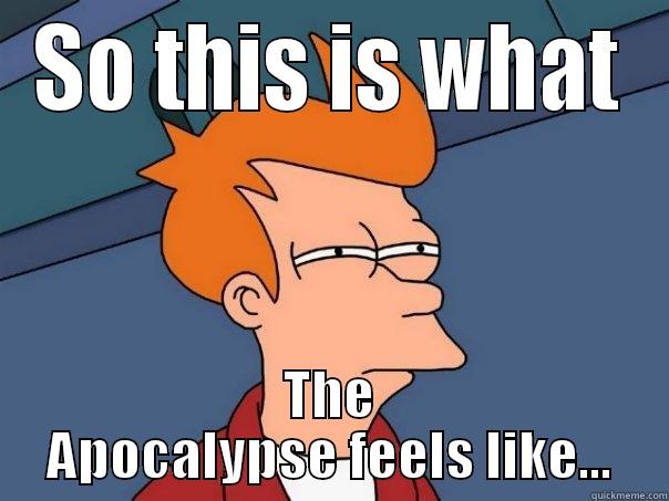 Apocalypse Test - SO THIS IS WHAT THE APOCALYPSE FEELS LIKE... Futurama Fry