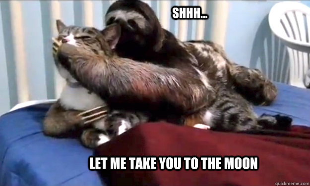 Shhh... let me take you to the moon  rape sloth