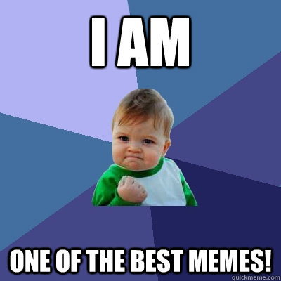 I am One of the best memes!  Success Kid