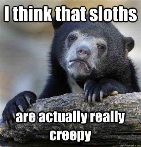 I think that sloths are actually really creepy  Confession Bear