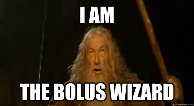 I am THE BOLUS WIZARD - I am THE BOLUS WIZARD  Advice gandalf