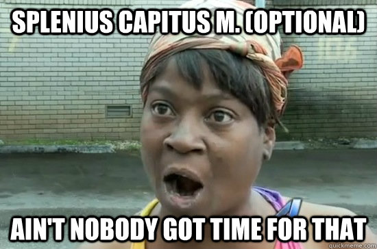 Splenius capitus m. (optional) AIN'T NOBODY GOT Time FOR THAT  Aint nobody got time for that