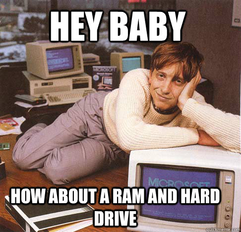 Hey baby How about a RAM and hard drive  Dreamy Bill Gates