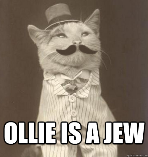  Ollie is a Jew  Original Business Cat