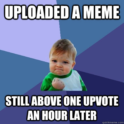 Uploaded a meme still above one upvote an hour later  Success Kid