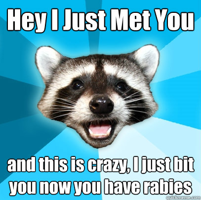 Hey I Just Met You and this is crazy, I just bit you now you have rabies   Lame Pun Coon