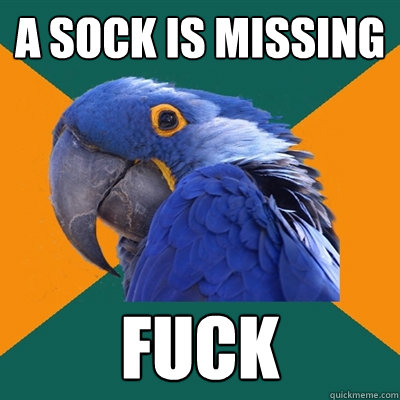 A sock is missing fuck  Paranoid Parrot