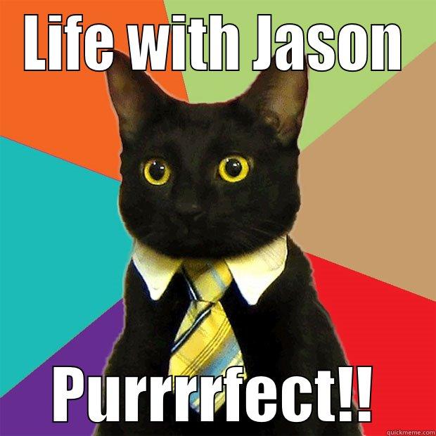 Life with Jason is always - LIFE WITH JASON PURRRRFECT!! Business Cat