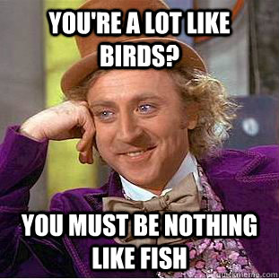 you're a lot like birds? you must be nothing like fish  Condescending Wonka