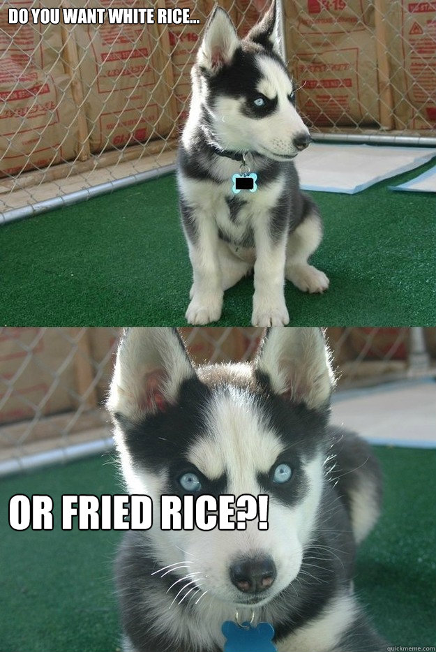 Do you want white rice... or fried rice?! - Do you want white rice... or fried rice?!  Insanity puppy