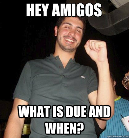 HEY AMIGOS WHAT IS DUE AND WHEN?  