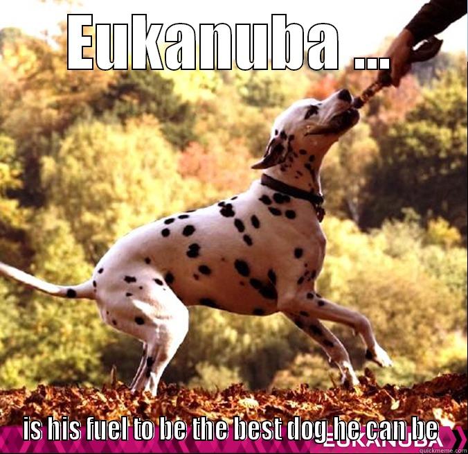 EUKANUBA ... IS HIS FUEL TO BE THE BEST DOG HE CAN BE Misc