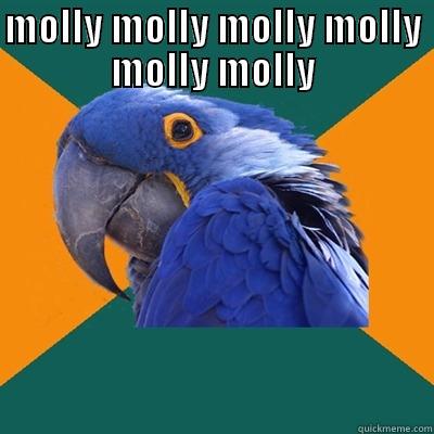 i cant find  - MOLLY MOLLY MOLLY MOLLY MOLLY MOLLY  Paranoid Parrot