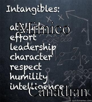 Leafs list of intangibles  -          MIMICO         CANADIAN Misc