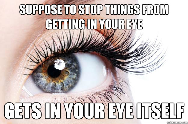 Suppose to stop things from getting in your eye Gets in your eye itself - Suppose to stop things from getting in your eye Gets in your eye itself  Scumbag Eyelash