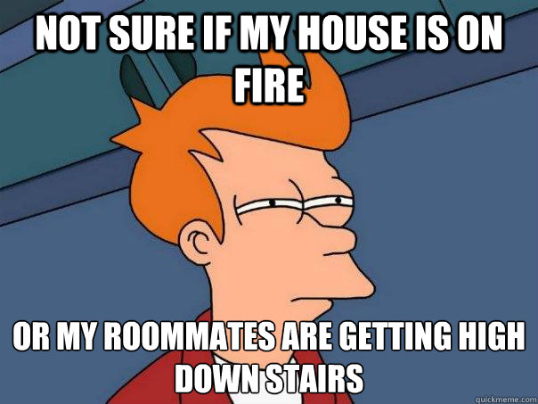 Not sure if my house is on fire Or my roommates are getting high down stairs - Not sure if my house is on fire Or my roommates are getting high down stairs  Futurama Fry