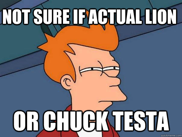 Not sure if Actual Lion Or Chuck testa  Futurama Fry