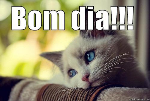 BOM DIA!!!  First World Problems Cat